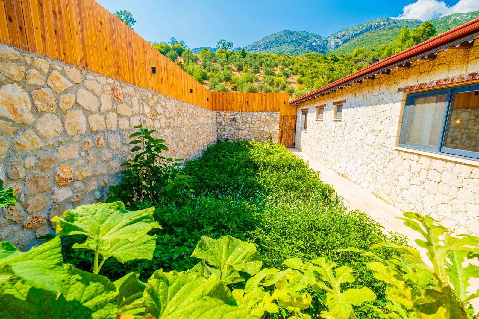 villa-pitaya-2-kas-57